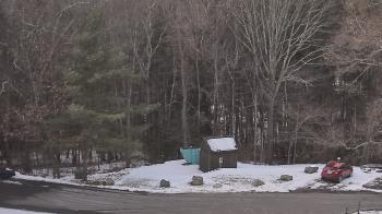 Weather camera view of John Dorr Nature Lab-Horace Mann School.