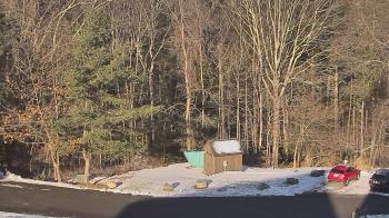 Weather camera view of John Dorr Nature Lab-Horace Mann School.