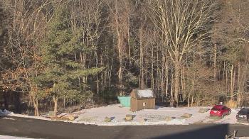 Weather camera view of John Dorr Nature Lab-Horace Mann School.