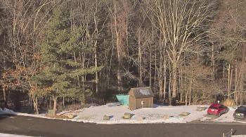 Weather camera view of John Dorr Nature Lab-Horace Mann School.