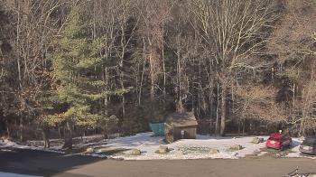 Weather camera view of John Dorr Nature Lab-Horace Mann School.