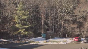 Weather camera view of John Dorr Nature Lab-Horace Mann School.