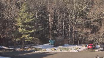 Weather camera view of John Dorr Nature Lab-Horace Mann School.