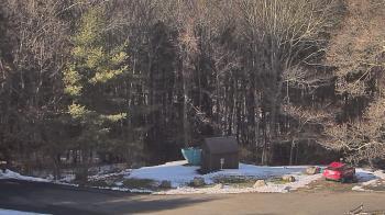 Weather camera view of John Dorr Nature Lab-Horace Mann School.