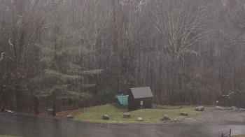 Weather camera view of John Dorr Nature Lab-Horace Mann School.
