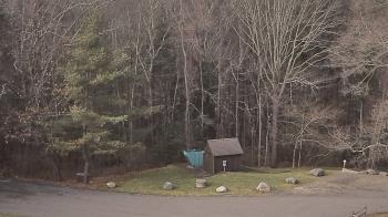 Weather camera view of John Dorr Nature Lab-Horace Mann School.