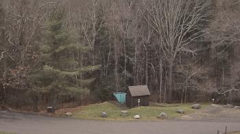 Weather camera view of John Dorr Nature Lab-Horace Mann School.