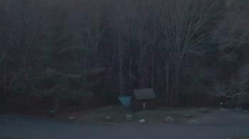 Weather camera view of John Dorr Nature Lab-Horace Mann School.