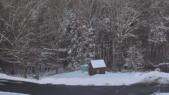 Weather camera view of John Dorr Nature Lab-Horace Mann School.