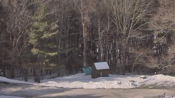 Weather camera view of John Dorr Nature Lab-Horace Mann School.