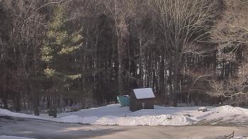 Weather camera view of John Dorr Nature Lab-Horace Mann School.