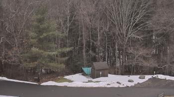 Weather camera view of John Dorr Nature Lab-Horace Mann School.