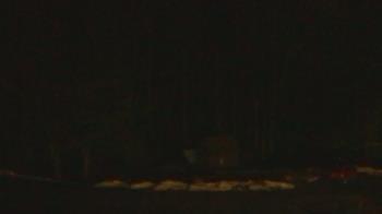 Weather camera view of John Dorr Nature Lab-Horace Mann School.