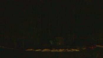 Weather camera view of John Dorr Nature Lab-Horace Mann School.