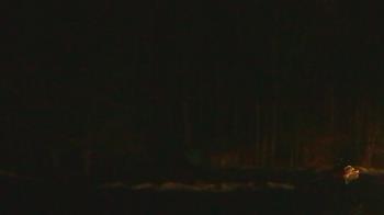 Weather camera view of John Dorr Nature Lab-Horace Mann School.