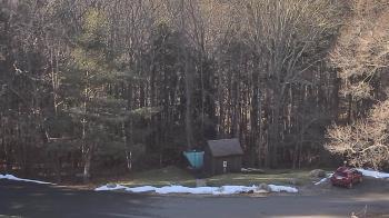 Weather camera view of John Dorr Nature Lab-Horace Mann School.