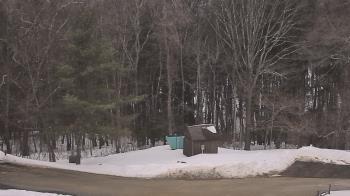Weather camera view of John Dorr Nature Lab-Horace Mann School.