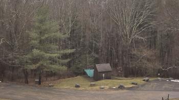 Weather camera view of John Dorr Nature Lab-Horace Mann School.