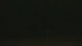 Weather camera view of John Dorr Nature Lab-Horace Mann School.