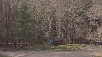 Weather camera view of John Dorr Nature Lab-Horace Mann School.