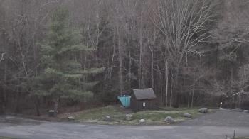 Weather camera view of John Dorr Nature Lab-Horace Mann School.