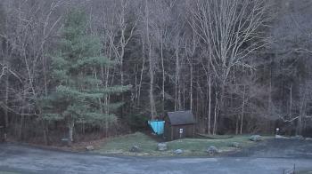 Weather camera view of John Dorr Nature Lab-Horace Mann School.