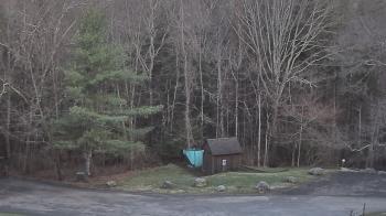 Weather camera view of John Dorr Nature Lab-Horace Mann School.