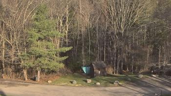 Weather camera view of John Dorr Nature Lab-Horace Mann School.