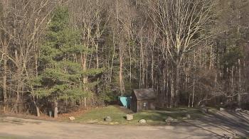 Weather camera view of John Dorr Nature Lab-Horace Mann School.