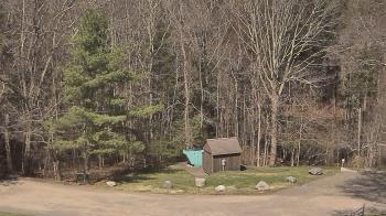 Weather camera view of John Dorr Nature Lab-Horace Mann School.