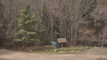Weather camera view of John Dorr Nature Lab-Horace Mann School.