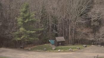 Weather camera view of John Dorr Nature Lab-Horace Mann School.