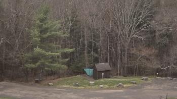 Weather camera view of John Dorr Nature Lab-Horace Mann School.