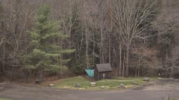 Weather camera view of John Dorr Nature Lab-Horace Mann School.