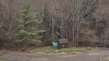 Weather camera view of John Dorr Nature Lab-Horace Mann School.