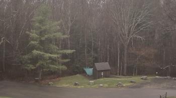 Weather camera view of John Dorr Nature Lab-Horace Mann School.