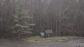 Weather camera view of John Dorr Nature Lab-Horace Mann School.
