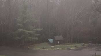 Weather camera view of John Dorr Nature Lab-Horace Mann School.