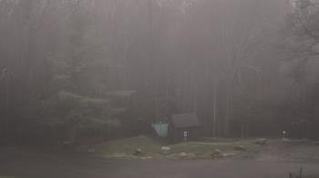 Weather camera view of John Dorr Nature Lab-Horace Mann School.