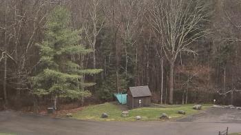 Weather camera view of John Dorr Nature Lab-Horace Mann School.