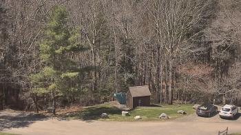 Weather camera view of John Dorr Nature Lab-Horace Mann School.