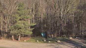 Weather camera view of John Dorr Nature Lab-Horace Mann School.