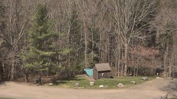 Weather camera view of John Dorr Nature Lab-Horace Mann School.
