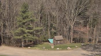 Weather camera view of John Dorr Nature Lab-Horace Mann School.