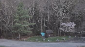 Weather camera view of John Dorr Nature Lab-Horace Mann School.