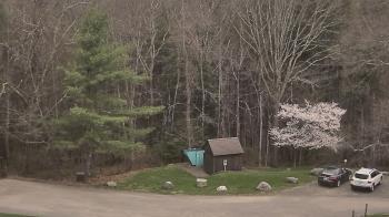 Weather camera view of John Dorr Nature Lab-Horace Mann School.