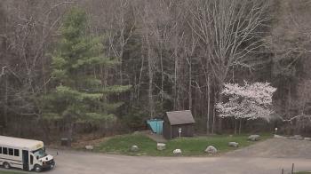 Weather camera view of John Dorr Nature Lab-Horace Mann School.