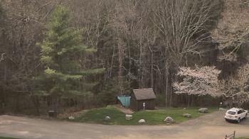 Weather camera view of John Dorr Nature Lab-Horace Mann School.