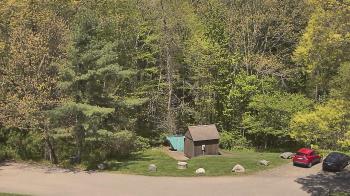 Weather camera view of John Dorr Nature Lab-Horace Mann School.