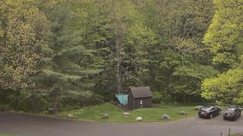 Weather camera view of John Dorr Nature Lab-Horace Mann School.